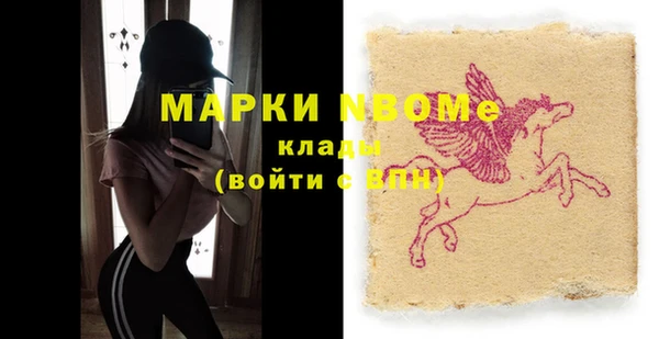 стаф Новодвинск